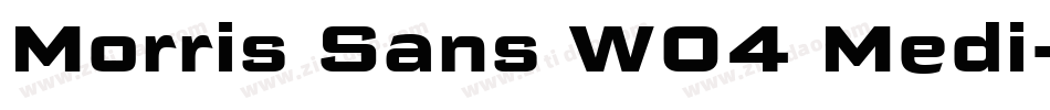 Morris Sans W04 Medi字体转换